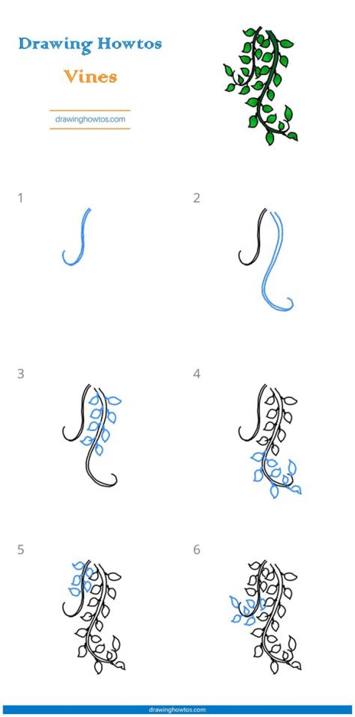 Captivating Creations: The Art of Flower Vine Drawing