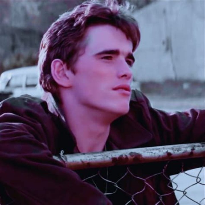 Dally of the Outsiders: A Deep Dive into a Cultural Icon