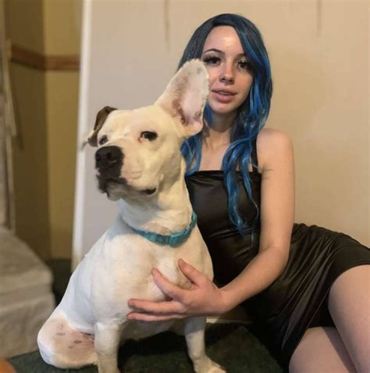 Denise Frazier: The Inspiring Journey of a Dog Lover and Advocate
