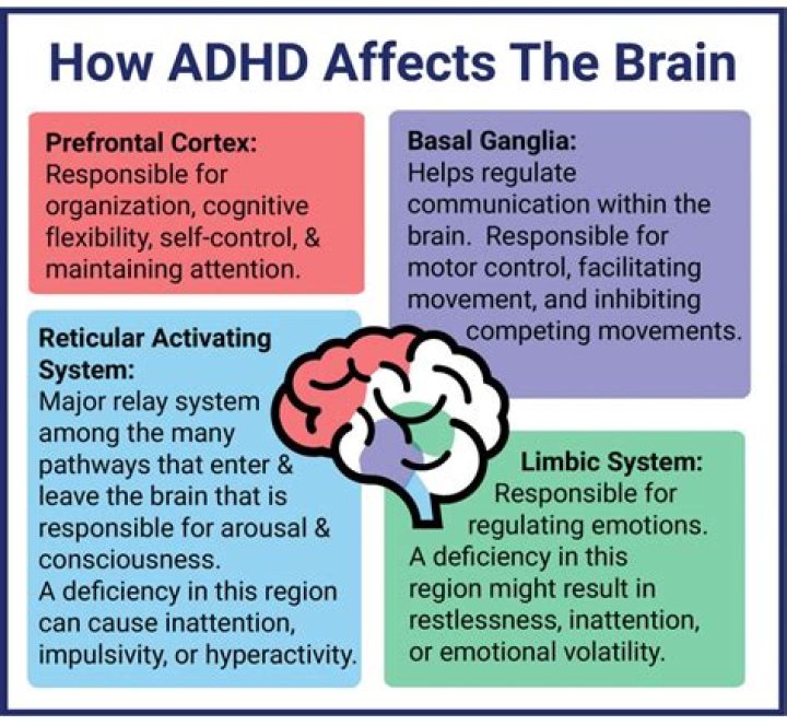 Did Liam Have ADHD? Understanding the Signs and Implications