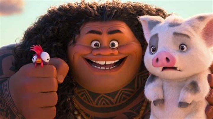 Discovering Moana Chicken: The Heart of an Island Adventure
