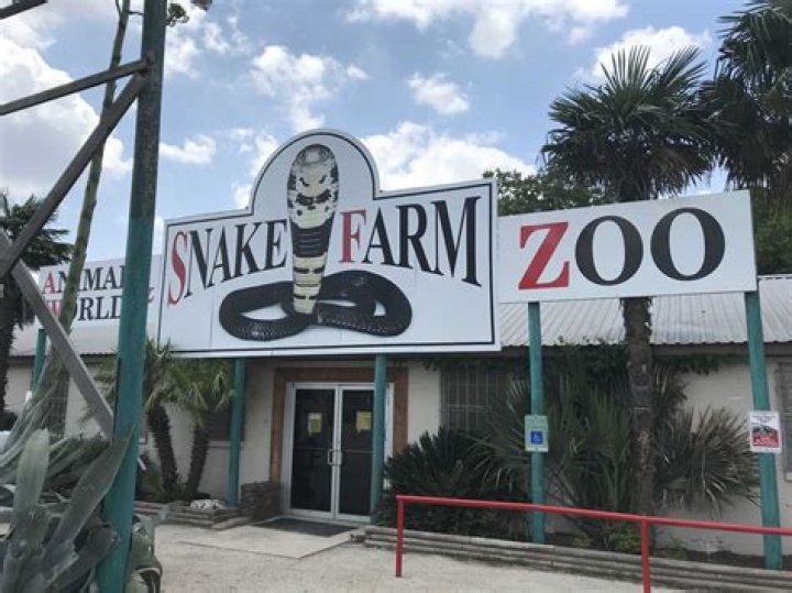 Discovering the Allure of the Snake Farm Song