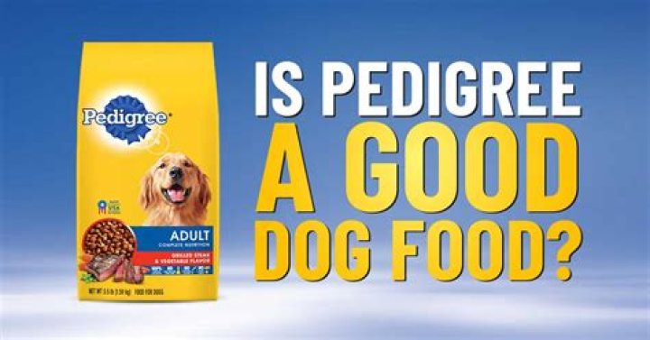 Discovering the Best for Your Canine: A Comprehensive Look at Pedigree Dog Food Reviews