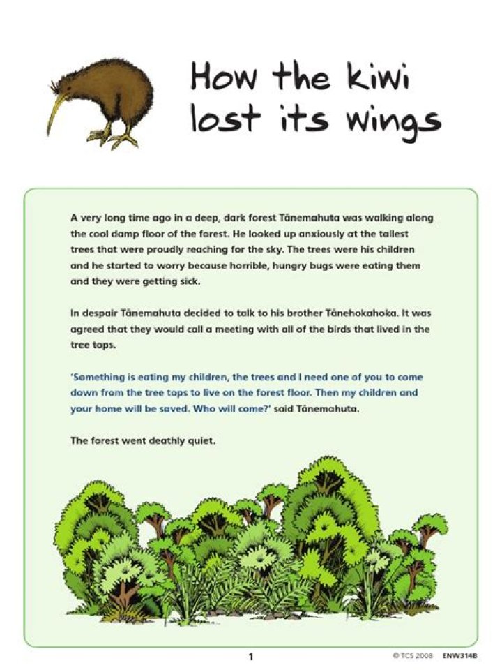 Discovering the Delightful World of Kiwi Wings