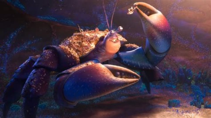 Discovering the Enigmatic Moana Crab: A Dive into Its World