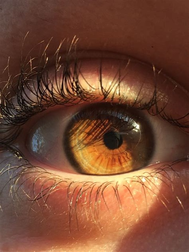 Discovering the Most Beautiful Eyes: A Journey into Eye Aesthetics