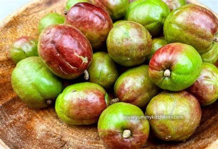 Discovering the Richness of Plum in Spanish