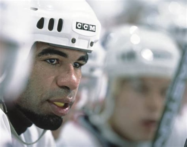 Donald Brashear Net Worth: An In-Depth Look at the Life and Wealth of the NHL Enforcer