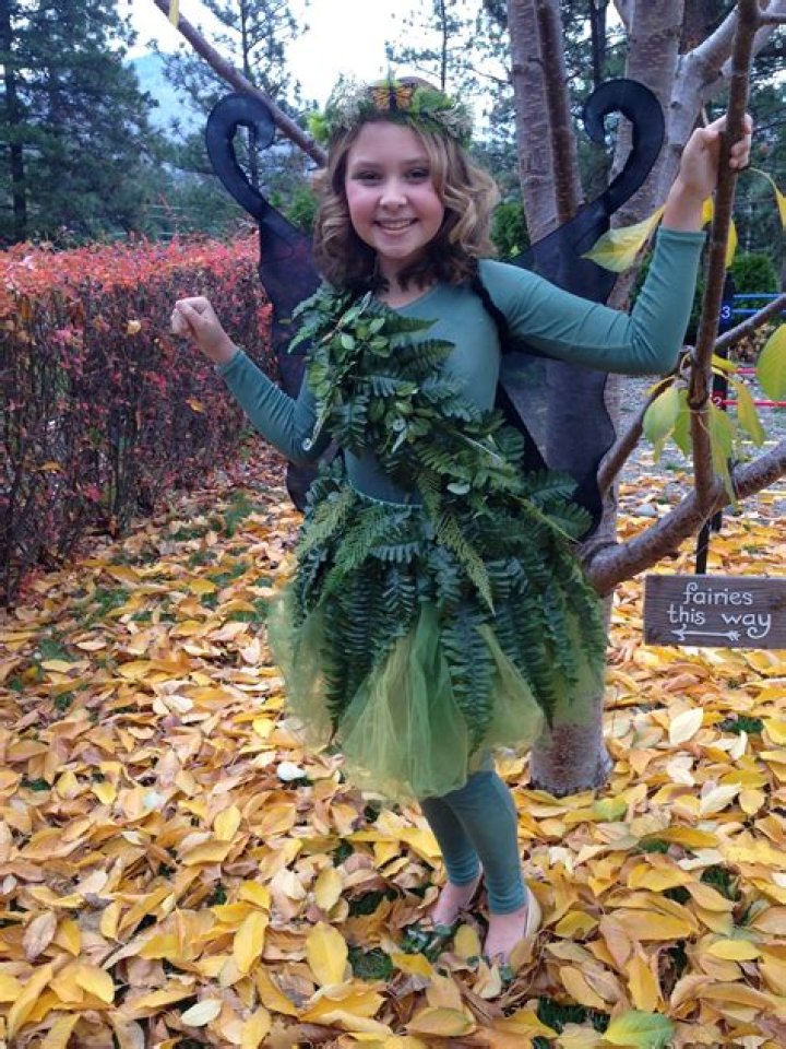 Enchanting Woodland Fairy Costume: A Journey into Fantasy
