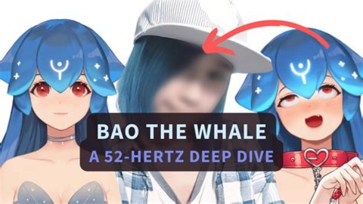 Exploring Bao VTuber Flash: A Deep Dive into the Phenomenon