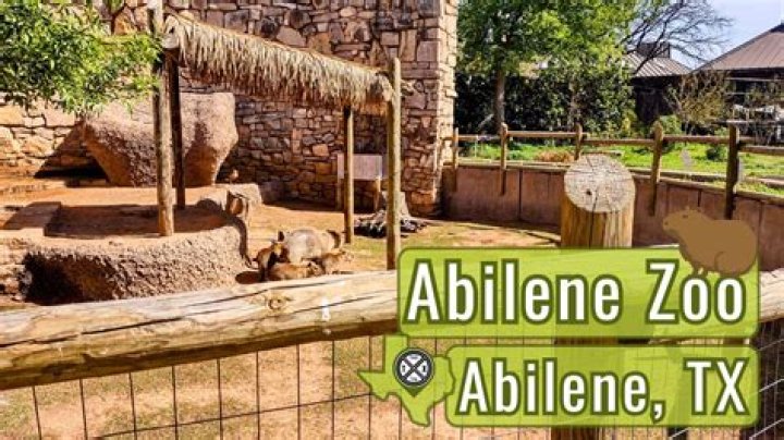 Exploring the Abilene Zoo: A Comprehensive Guide to Wildlife and Conservation