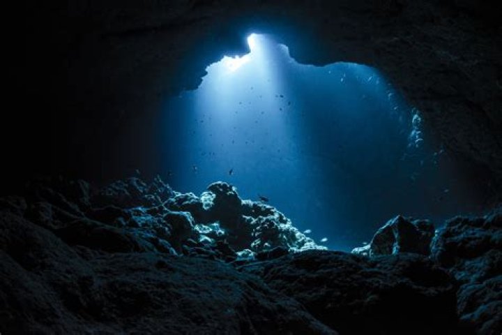 Exploring the Depths of the Satisfaction Movie Experience