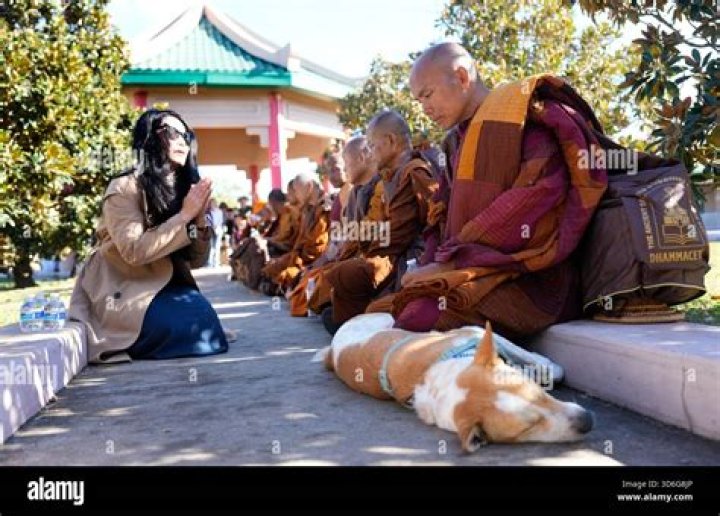 Exploring the Essence of Huong Sen: A Journey Through Culture and Nature