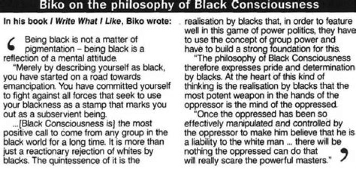Exploring the Rise of Black Trib: A Cultural Phenomenon