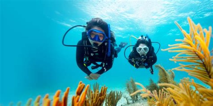 Exploring the Underwater World with Scuba Steph: A Journey Through Scuba Diving
