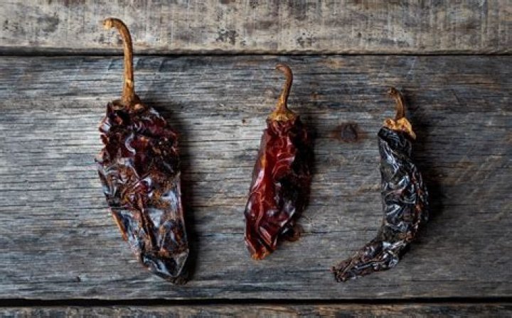 Exploring the Unique Flavor of Chile Morita