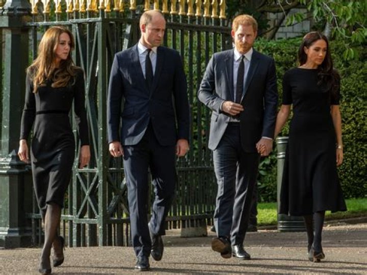 Harry & Meghan: A Comprehensive Overview of Their Lives and Impact
