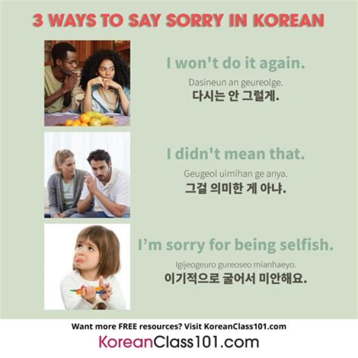How to Say Sorry in Korean: A Complete Guide