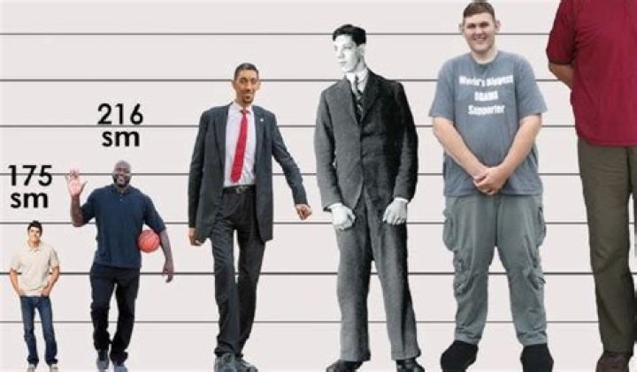 Is 5'11 Tall Enough? A Comprehensive Look at Height Perception