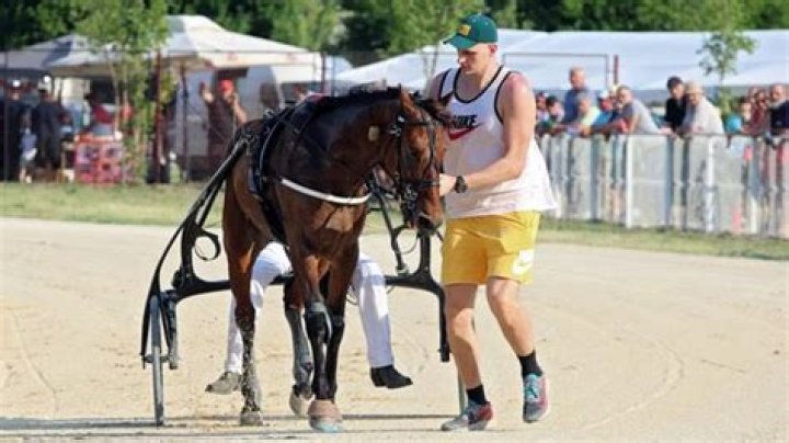 Jokic and the Thrill of Horse Racing: A Unique Intersection of Sports