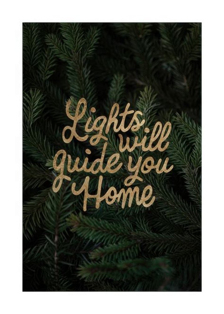 Lights Will Guide You: A Journey Through Inspiration and Hope