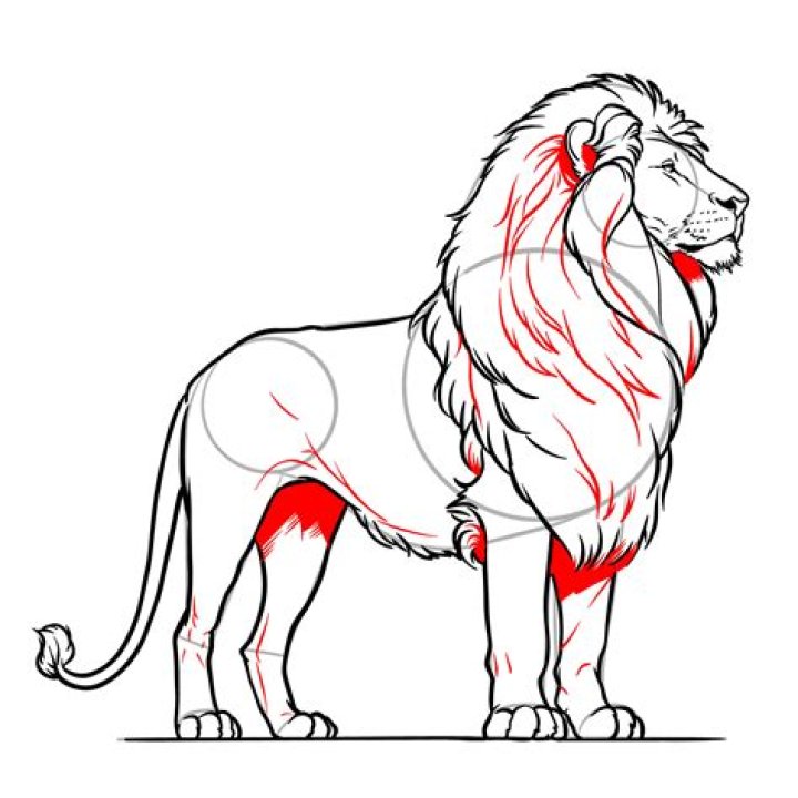 Lion Sketch: A Complete Guide to Drawing and Techniques