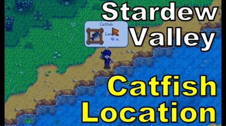 Mastering Stardew Valley Catfish: A Complete Guide for Players