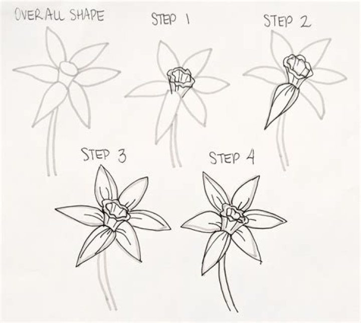 Mastering the Art of Drawing a Box: A Step-by-Step Guide