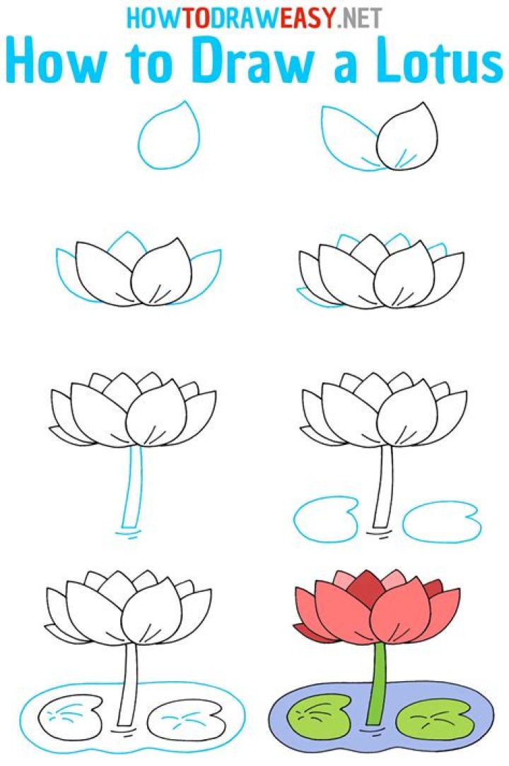 Mastering the Art of How to Draw a Lotus Flower