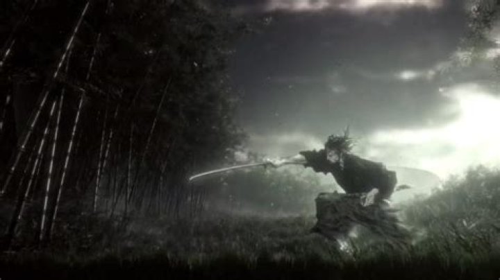 Miyamoto Musashi: The Vagabond of the Samurai World