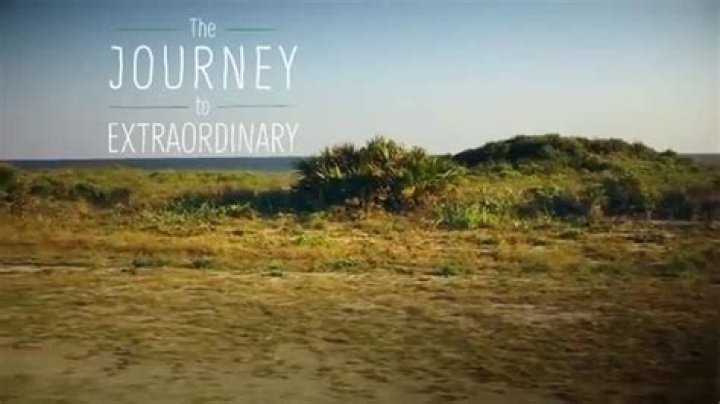 Scott Rigsby: The Inspiring Journey of a Paralyzed Athlete and Advocate