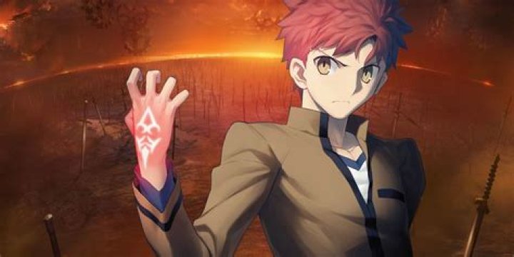 Shirou Emiya: The Heroic Spirit of Fate Stay Night