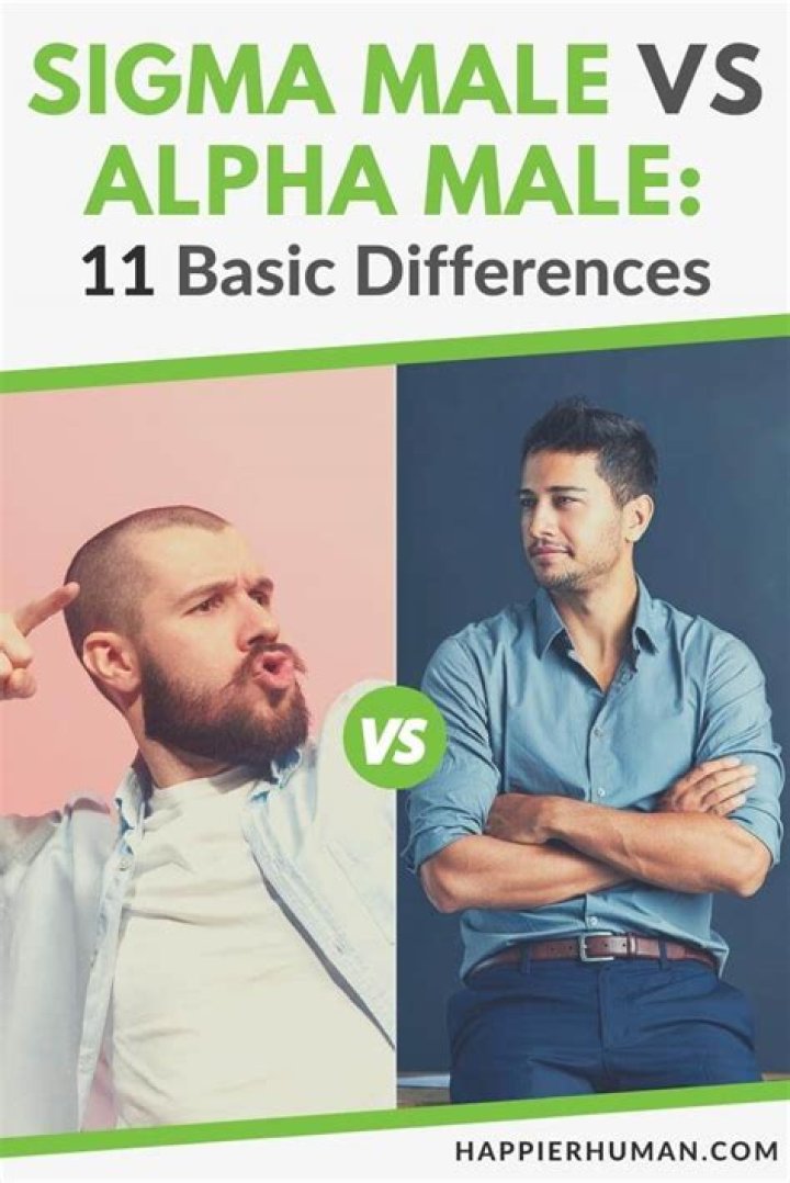 Sigma Male vs Alpha Male: Understanding the Differences and Dynamics