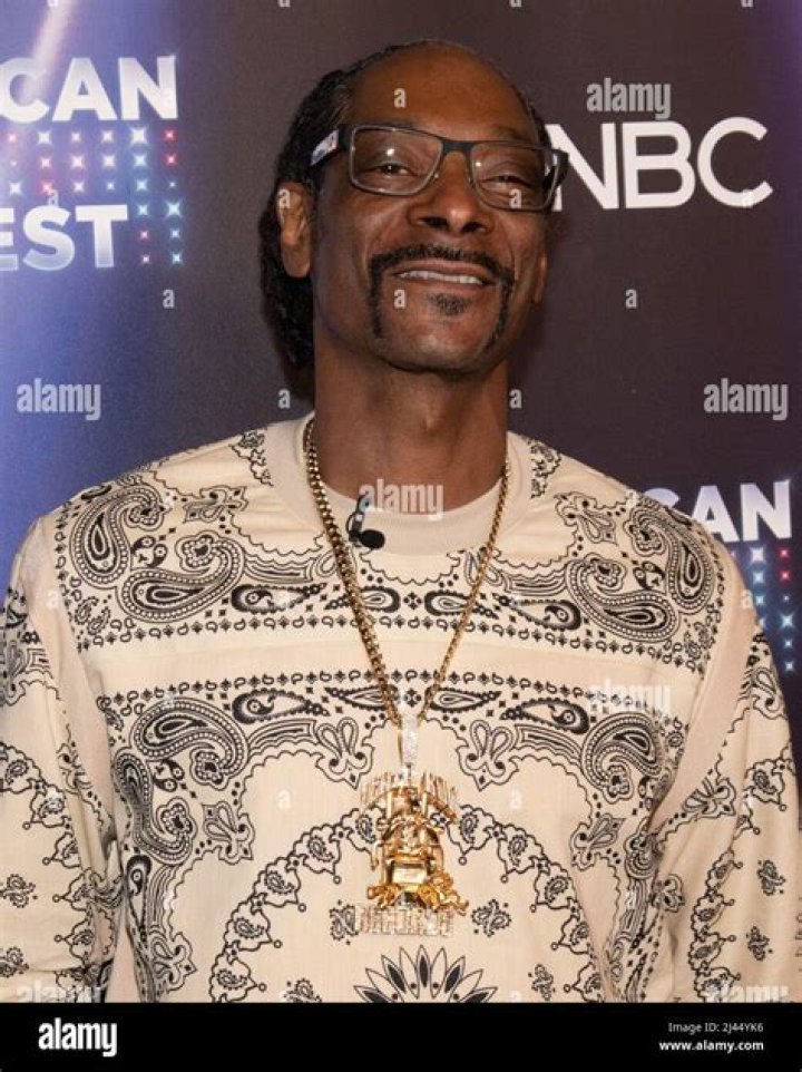 Snoop The Wire: An In-Depth Analysis of the Iconic Series