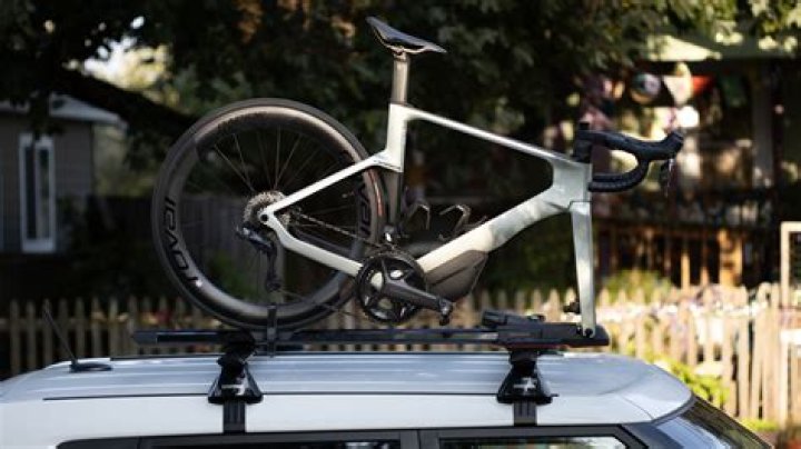 Spoke & Weal: The Ultimate Guide to Custom Bicycle Fittings