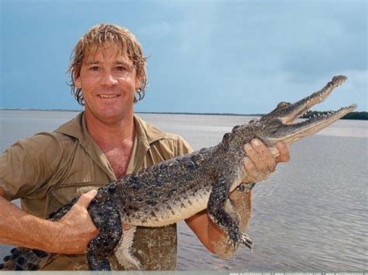 Stephen Robert Irwin: The Legacy of the Crocodile Hunter