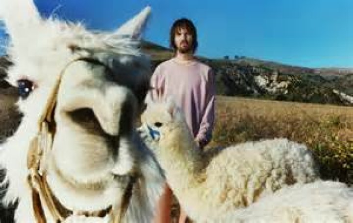 Tame Impala A.P.C Collection: A Fusion of Music and Fashion