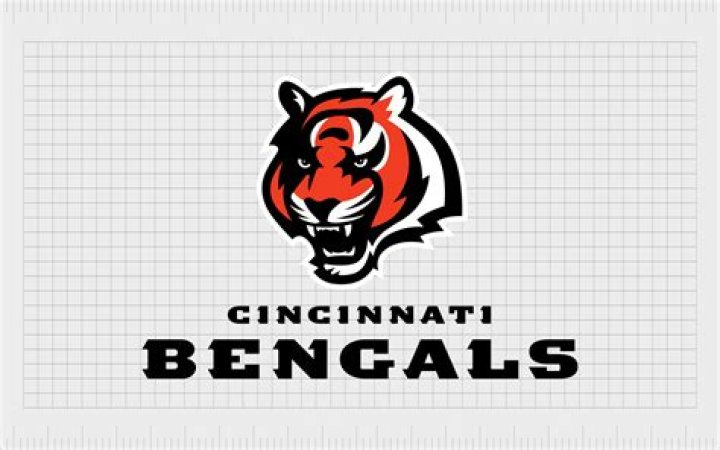 The Cincinnati Bengals: A Comprehensive Overview of the NFL Franchise