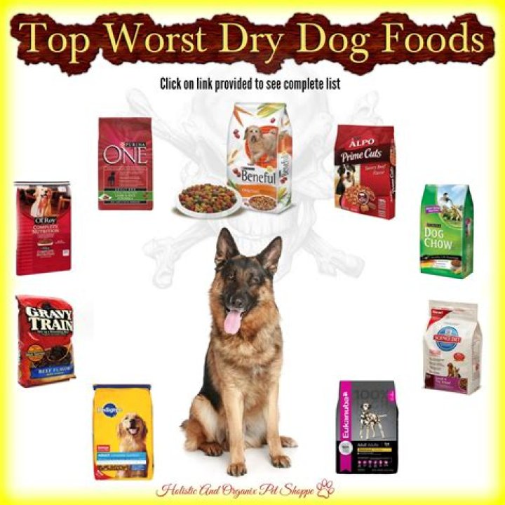 The Dark Side of Pet Nutrition: Identifying the Worst Dog Food Brands