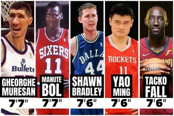 The Tallest NBA Players: A Comprehensive Overview