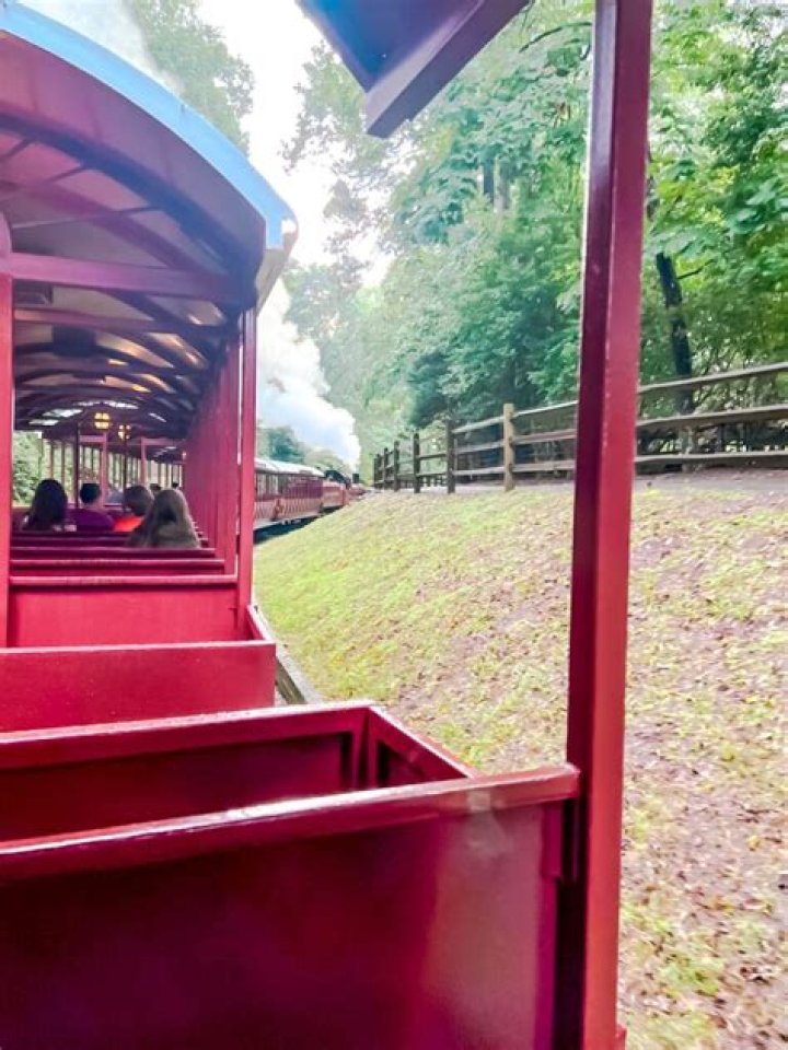 The Ultimate Guide to Busch Bullet: Experience the Thrill!
