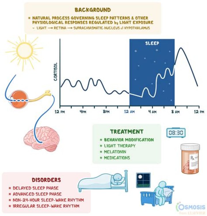 The Ultimate Guide to Cadence: Understanding the Rhythm of Life