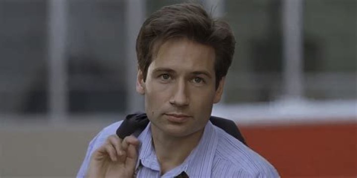 The Ultimate Guide to David Duchovny's Career