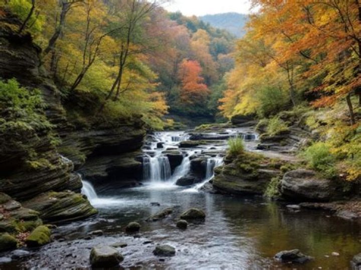 Thrift Shop Albany: Discovering Hidden Gems in Upstate New York