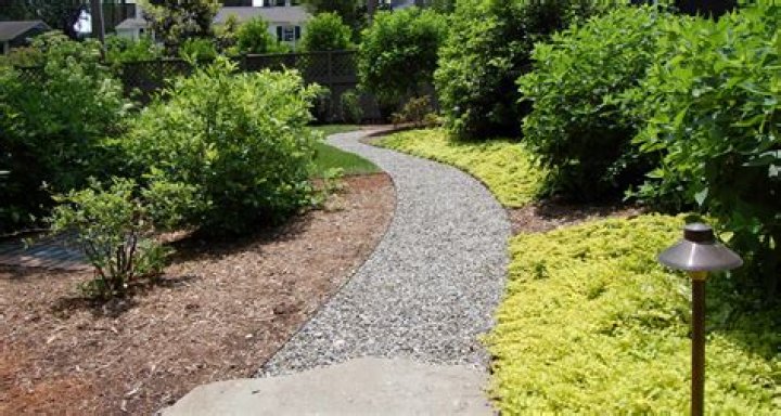 Transforming Your Suburban Lawn and Garden into a Vibrant Oasis
