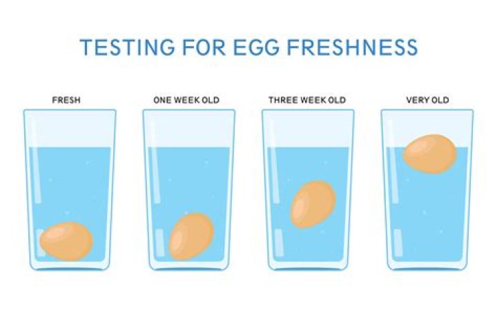 Ultimate Guide to Determining the Freshness of Your Eggs