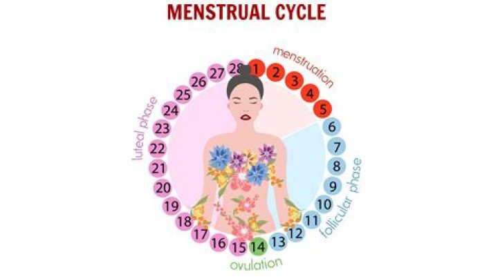 Understanding Moverulztelugu: A Comprehensive Guide