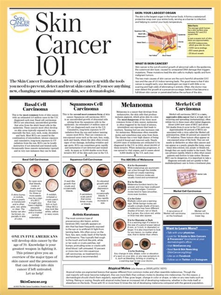 Understanding Skin Monkey: A Comprehensive Guide to Skin Health