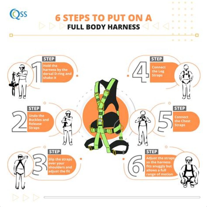 Understanding the Concept of Harness: A Comprehensive Guide