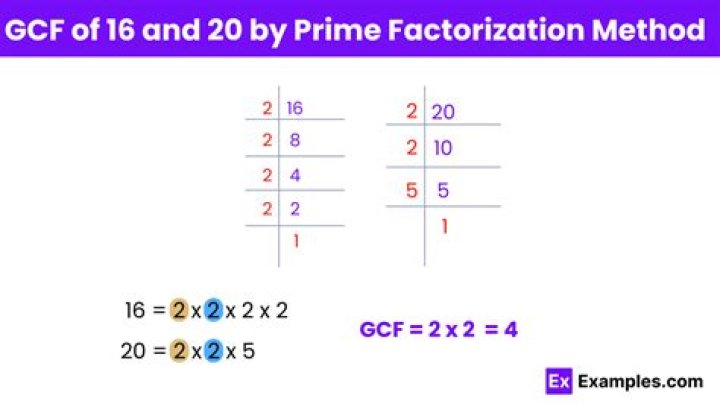 Understanding the Concepts of 16 and 20: A Comprehensive Guide